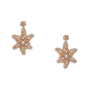 Star Earrings Star Earrings